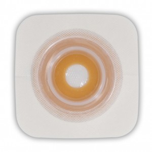 CNV00295
